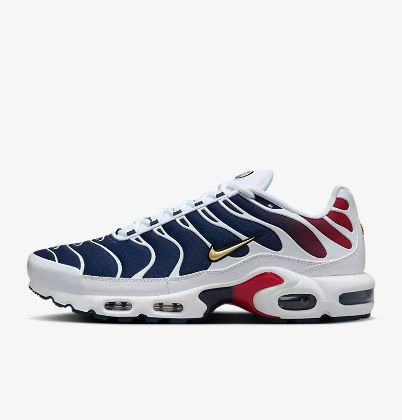 Nike Air Max Plus "PSG"