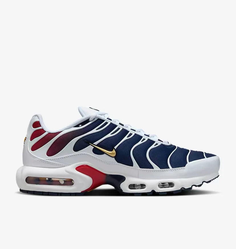 Nike Air Max Plus "PSG"