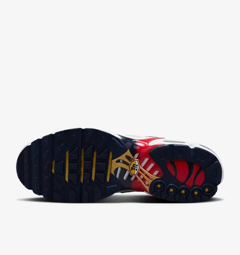 Nike Air Max Plus "PSG"